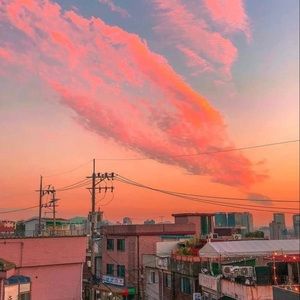 Meet your Posher, Lily